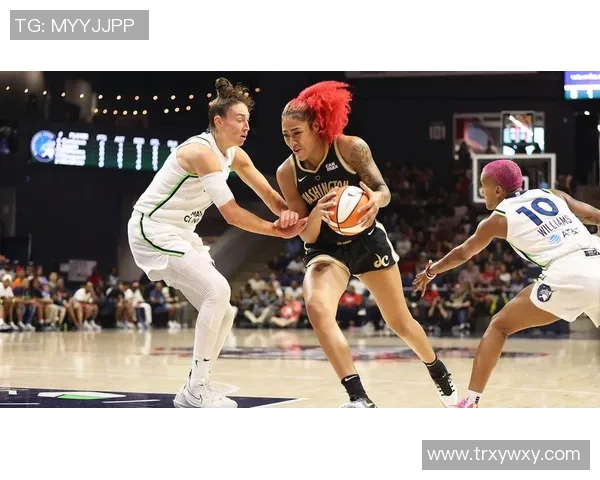 华盛顿神秘人与山猫的较量揭示篮球背后的秘密与传奇